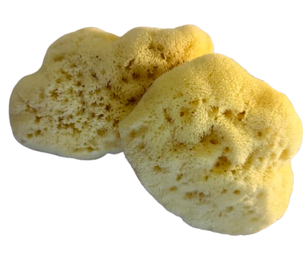 Natural Greek Facial Silk Sea Sponge - Image 2